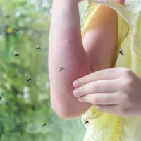 mosquitos-on-skin